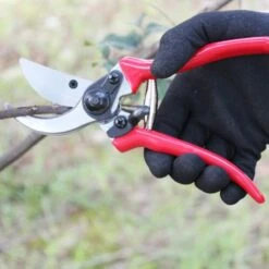 Pruning Shears Safety Lock Gardening Hand Pruning Tool Less Effort Ergonomic Comfort Bypass Garden Shears Tool Razor Sharp Precise Cuts -Home-Tools 2257bae9 cd96 4dd8 8ff9 02e4d02ac177